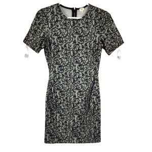 Aritzia Wilfred Lace Mignonne Lace dress